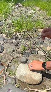 35K views · 470 reactions | Tip of the Week // Dry-Dropper Proportion...