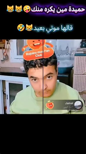 tiktok dz on Instagram‎: "😂❤️ _______ #livedz #tiktokdz #dztiktok #tiktokdzair #algerienne🇩🇿 #dzair #dzpower🇩🇿 #algeria #algerie #الجزائر🇩🇿 #alger #dztiktok✅ #الجزائر_تونس_المغرب #algerien #dz #fypシ❤️💞❤️ #تيكتوكجزائري #fy #تيكتوك_جزائري"‎
