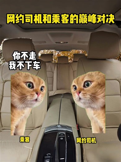 网约司机大招都使出来了#猫meme #搞笑 #一定要看到结尾 #狠人 #倔强 #猫meme小剧场
