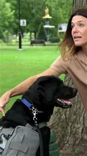 Meet My Service Dog: A Day in the Park! #shorts