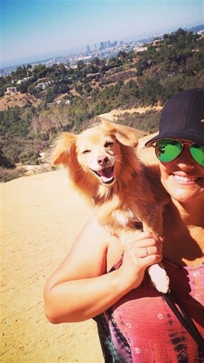 SISANIE on Instagram: "Dakota was my OG. 🐕 I got her two years after moving to LA, and she stayed by my side through every chapter. Four homes, countless late nights, and every moment my babies needed me… she was always right there. She and Gypsy were five years apart, and somehow they left within 5 months of each other. I choose to believe they’re together again now. 🌈🐾 Thank you for 16 wonderful years, sweet girl. #LAdakotaV"