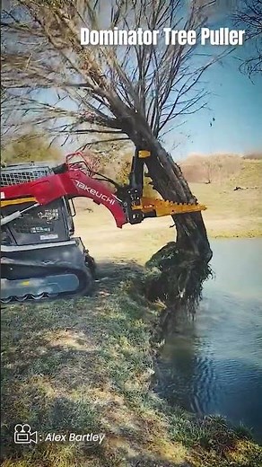 The Dominator Yanks Trees Like Weeds!