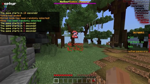 Zephyr v4 | Hacking On Nethergames