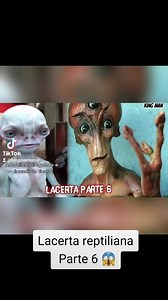 LACERTA HEMBRA REPTILIANA RESPONDE QUE ROPA LLEVA UN REPTILIANO LOS REPTILIANOS ESTAN AQUI #reptilianos #reptilian #reptiloides #losreptilianosestanaqui #reptilianosexisten #reptilianosentrenosotros #viral #trending #tendencias #tendencia #area51 #pentagono #tartaria #nasa #alienigena | Enigmas Del Mundo