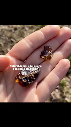 Natural Amber. 3.59 grams. Fossilized Tree Resin. USA https://aoacrystalart.etsy.com/listing/1891544842 | Illuminator Wisdom | Facebook