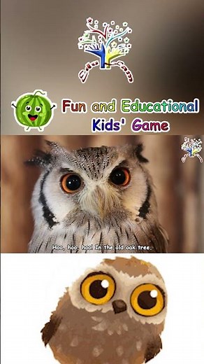 The Owl Song | Educational Nursery Rhyme for Kids | Fun Learning with Animals