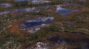 The power of peat: Canada’s secret weapon against climate change