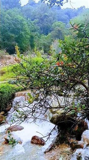 Aliran Air Panas Kawah Rengganis yang Menenangkan 🌿 💦 #ciwidey #kawahrengganis #suaralam #relaksasi