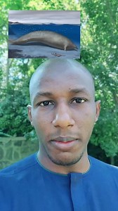 Dabbar da ta fi girma bisa binciken masu bincike #science #Hausa 📡🕹️ | Abdulbaki Jari