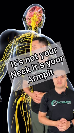 Nerve pain in the arm can be tricky. In many cases, it originates from the neck whether due to muscle spasms or compression from stenosis. However, sometimes the source of pain is the armpit region, specifically the subscapularis muscle. This may result from stiffness, muscle spasms, or prolonged postures. The exercises shown here aim to calm an overactive subscapularis using inhibitory techniques like the subscapularis release and subscapularis layback. We then include median nerve glides for n