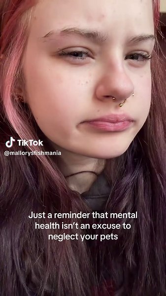 I see this excuse too often, REHOME YOUR ANIMAL. It is the right thing to do #reptiles #leopardgeckos #geckosoftiktok #leopardgecko #animals