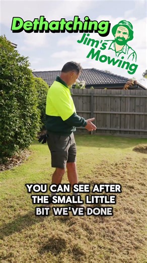 What is dethatching a lawn?