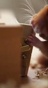 Hamster Solves Escape Button — Tiny Treat Surprise