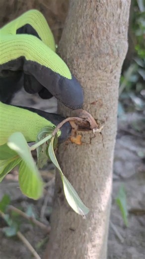 FixNiro on Instagram: "Garfting Hack tips craft made it yourself #tricks #tips #Garfting"