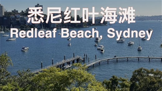 澳大利亚悉尼红叶海滩