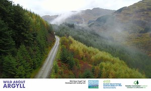 Wild About Argyll Trail - Bikepacking Scotland