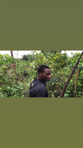 43K views · 951 reactions | smartness is the name of the game | Adventures of Jazzy | Facebook