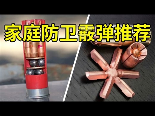 【中配】十大最佳家庭防卫霰弹枪弹药 - Survival Gear