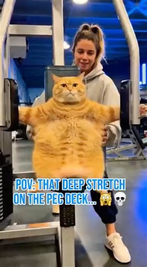 POV: That deep stretch on the Pec Deck... 🙀💀 #shorts