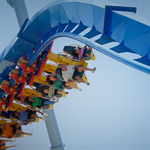 Unleash your wild side with a visit to Busch Gardens Tampa Bay! 🎢🦁🌴 For a Limited Time, Get up to 45% off Tickets--Hurry, Offer Ends Soon! | Busch Gardens Tampa Bay