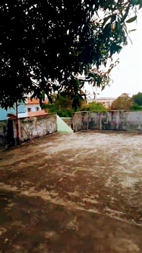 gowdari lo munigina # cute honey