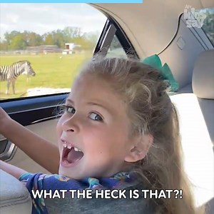 502K views · 5.6K reactions | If the kids are sure, we believe them! 藍 | Kids Say | Facebook