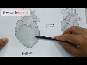 R WAVE LESSON 1