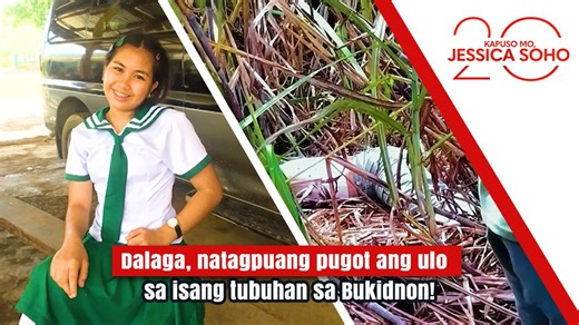 DALAGA, NATAGPUANG PUGOT ANG ULO SA ISANG TUBUHAN SA BUKIDNON! BABALA: Maselan ang video na inyong mapapanood. Grade 9 student na dalawang araw nang nawawala, natagpuang pinugutan ng ulo sa isang tubuhan sa Valencia City, Bukidnon. Sino nga ba ang walang pusong may gawa nito sa kanya? Panoorin ang video. Sa mga nais tumulong sa pamilya ni Jennifer, maaaring magpadala sa: GCASH ACCOUNT NUMBER: 0963 092 5393 ACCOUNT NAME: DONA PEARL ENCARNACION MINDANAO CONSOLIDATED COOPERATIVE BANK ACCOUNT NUMBER