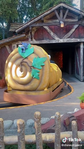 Experiencing the Thrill of Winnie the Pooh Ride