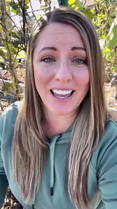 Are you a brand new gardener? Need some help getting started? I created a FREE beginner gardeners series covering everything you need to get started. Check out my page over on YouTube at From Dream to Seed. Link on my page or in comments. #gardening #gardeninspiration #gardenhelp #gardenideas #howtogarden #startagarden #beginnergardener #homegarden #backyardgarden #kitchengarden #growyourownfood | From Dream to Seed