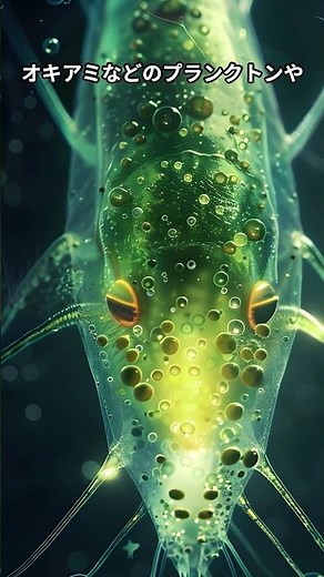 8000本の歯は飾り？世界最大のサメ、ジンベイザメの不思議な生態