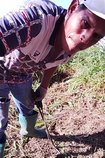 Videos de dalwing narvaez (@dalwing.narvaez) con “sonido original - dalwing narvaez”