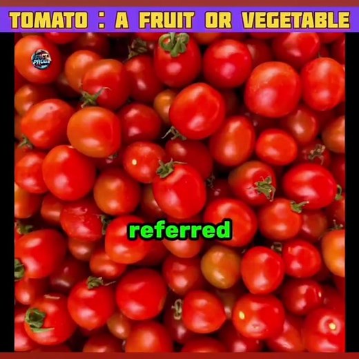 Is tomato a fruit or vegetable?