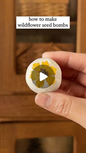 Ashley Koshimizu | wildflower seed bombs 🌼 I shared a version of these a few years ago with dried flower petals on the outside and am excited to share a new... | Instagram
