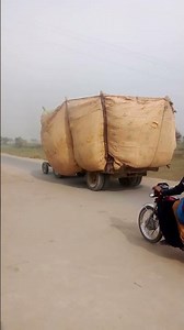 seen #tredinig #ytstudioes #shortvideos