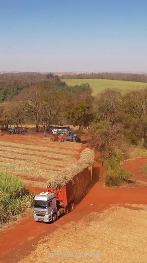 116K views · 11K reactions | Para todos deixam quem ama para buscar seus sonhos #dronefarming #agro10brasil #canavieiros #agro #caminhao #agrostatus | Drone Farming | Facebook