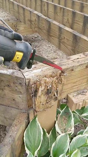 18K views · 66 reactions | Cutting through 10,000 nails it felt like. #dewalttools #diablo #demo | Revive Home Tips | Facebook