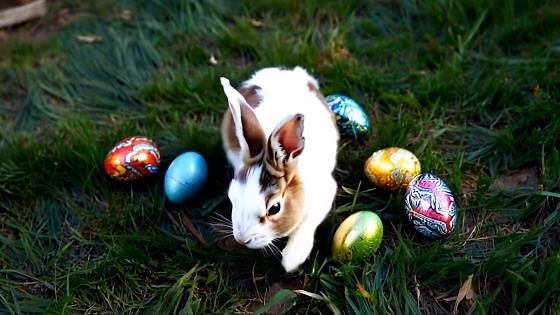 How a goddess and a bunny created Easter