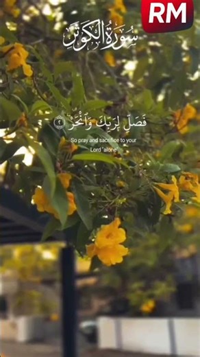 Sura Al Kawser | Beautiful & Peaceful Quran Recitation | سورة الكوثر #youtubeshorts #quran #nature