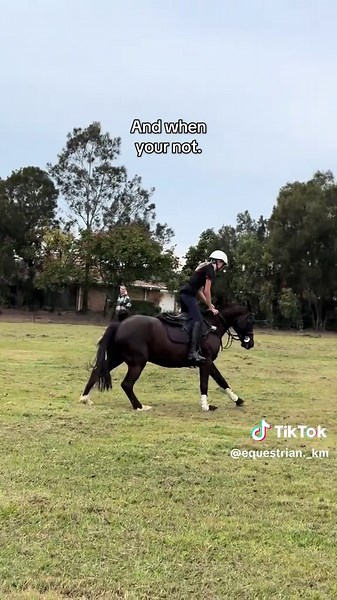 🤗🤗 #fyp #foryou #foryoupage #fypage #horse #horses #horsegirl #equestrian #equestriantiktok #eventer #eventing #showjumper