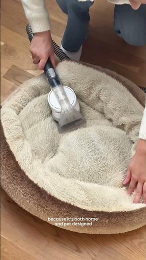 How To Clean Your Pet Bed With The Vax SpotWash