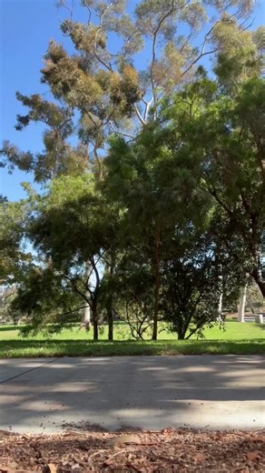 Celebrate National Walk to a Park Day your way — whether you skip, dance, hop, or jog! In Irvine, 93% of residents live within a half-mile of a park, making it easy to visit a park, no matter how you choose to get there. For a list of parks, visit cityofirvine.org/parks. Learn more about Irvine's nationally ranked park system in the current issue of Inside Irvine at insideirvine.org. #NationalWalkToAParkDay #WeAreIrvine