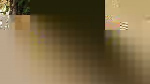 798 reactions · 168 shares | "iD Tech helped launch my career in the gaming industry." -Collin M., Software Engineer, EA SPORTS Madden NFL | iD Tech Camps | Facebook