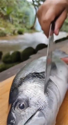 Fresh White Snapper Cutting in Nature 🐠🔪 | Satisfying ASMR Sounds #shorts #asmr #viral #unitedstates