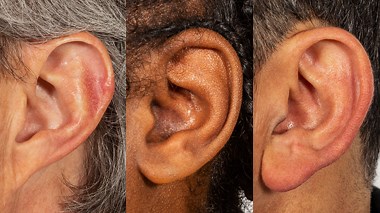 Ear Sort | Exploratorium