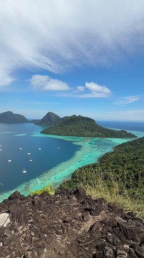 Exploring the Wonders of Borneo's Wildlife