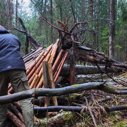 Bushcraft in a chilly woodland in the fall. Constructing a Survival Shelter in an Uncontrolled Forest Not using a sleeping bag | Bushcraft Camp