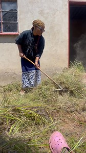 16K views · 225 reactions | The grass here is a big sign of an abandoned home. So today I decided to start with the yard… tichingodaro kusvika pachena. I want to move in as soon as possible. I am honestly excited…. #village #Relocation #returnhome #travel | Miss Vee | Facebook