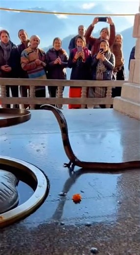 Pairo wala naag #shorts