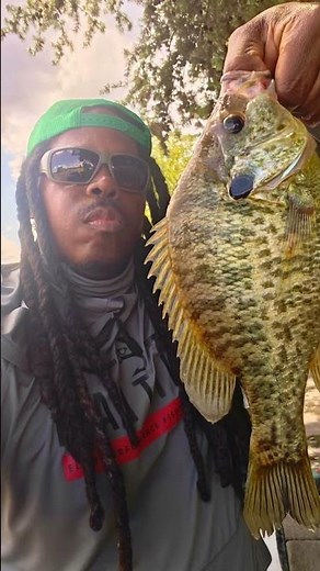 Trophy Redear Sunfish Catch & Cook! (GIANT Shellcracker) #fishing #shorts #shellcracker